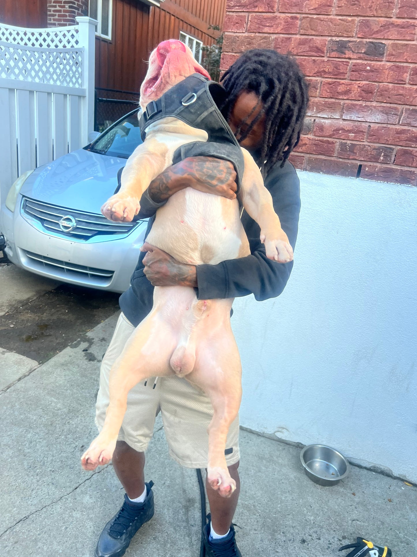 ATTENTIVE DOG BOARDING