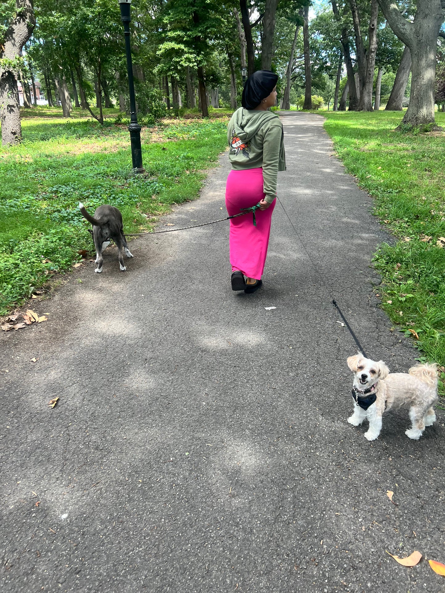 ATTENTIVE DOG BOARDING