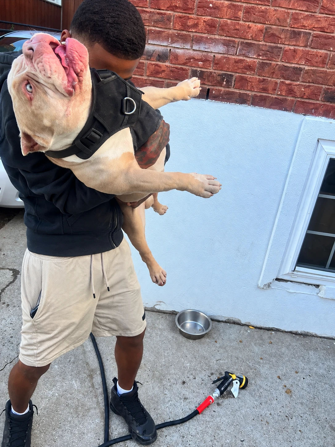 Heart Of Love Pet Care owner holding a happy dog