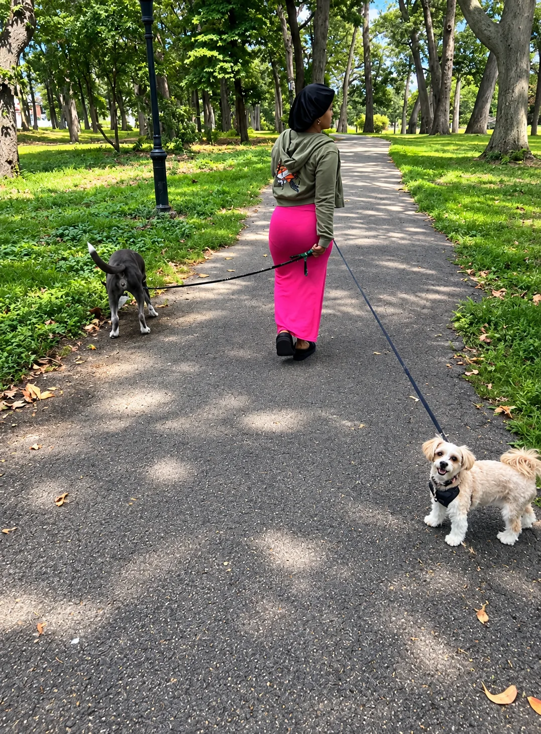 Dog Walking in Queens, NY