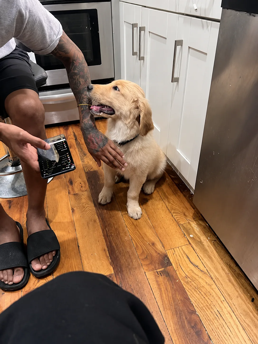 Heart Of Love Pet Care photo 8